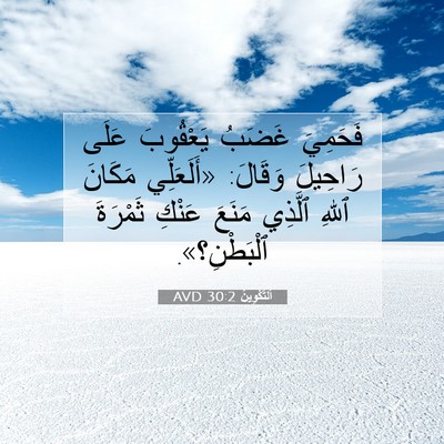 Picture 07 - اَلتَّكْوِينُ 30:2 AVD - فَحَمِيَ غَضَبُ يَعْقُوبَ - Bible Verse Picture