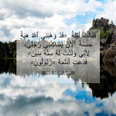 Picture 07 - اَلتَّكْوِينُ 30:20 AVD - فَقَالَتْ لَيْئَةُ: «قَدْ - Bible Verse Picture