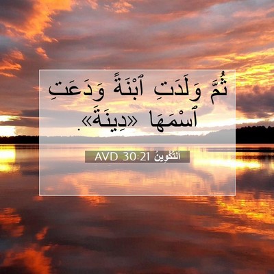 Picture 07 - اَلتَّكْوِينُ 30:21 AVD - ثُمَّ وَلَدَتِ ٱبْنَةً - Bible Verse Picture