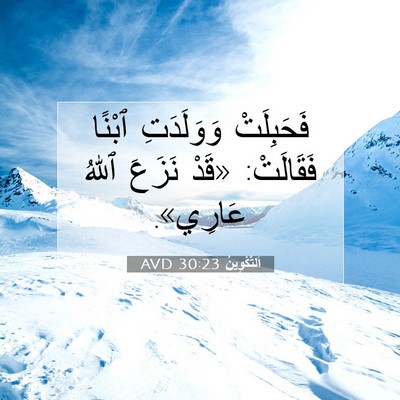 Picture 07 - اَلتَّكْوِينُ 30:23 AVD - فَحَبِلَتْ وَوَلَدَتِ - Bible Verse Picture