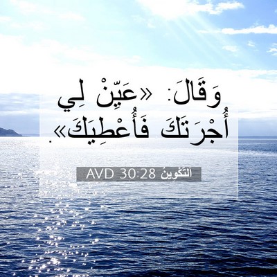 Picture 07 - اَلتَّكْوِينُ 30:28 AVD - وَقَالَ: «عَيِّنْ لِي - Bible Verse Picture