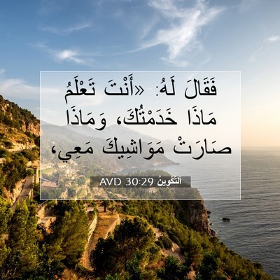 Picture 07 - اَلتَّكْوِينُ 30:29 AVD - فَقَالَ لَهُ: «أَنْتَ - Bible Verse Picture