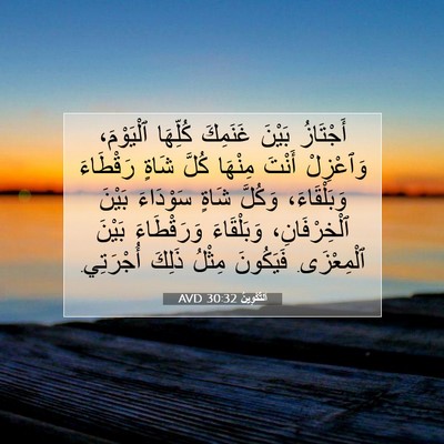 Picture 07 - اَلتَّكْوِينُ 30:32 AVD - أَجْتَازُ بَيْنَ غَنَمِكَ - Bible Verse Picture