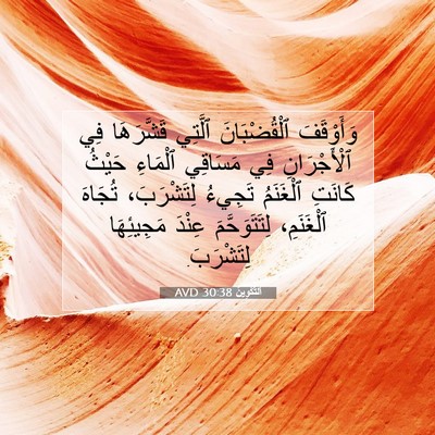 Picture 07 - اَلتَّكْوِينُ 30:38 AVD - وَأَوْقَفَ ٱلْقُضْبَانَ - Bible Verse Picture