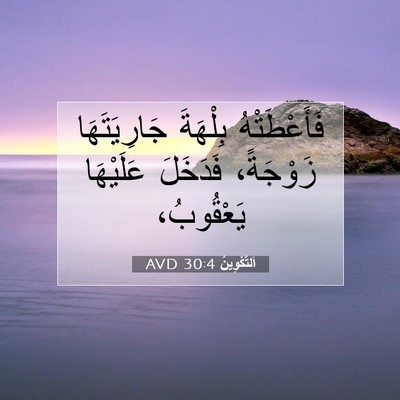 Picture 07 - اَلتَّكْوِينُ 30:4 AVD - فَأَعْطَتْهُ بِلْهَةَ - Bible Verse Picture