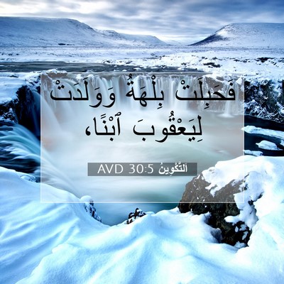 Picture 07 - اَلتَّكْوِينُ 30:5 AVD - فَحَبِلَتْ بِلْهَةُ - Bible Verse Picture