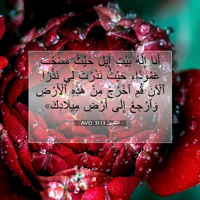 Picture 07 - اَلتَّكْوِينُ 31:13 AVD - أَنَا إِلَهُ بَيْتِ إِيلَ - Bible Verse Picture