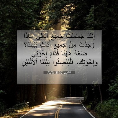 Picture 07 - اَلتَّكْوِينُ 31:37 AVD - إِنَّكَ جَسَسْتَ جَمِيعَ - Bible Verse Picture
