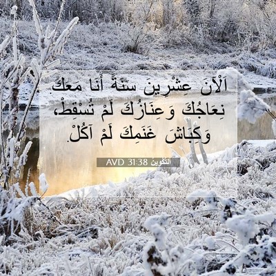 Picture 07 - اَلتَّكْوِينُ 31:38 AVD - اَلْآنَ عِشْرِينَ سَنَةً - Bible Verse Picture