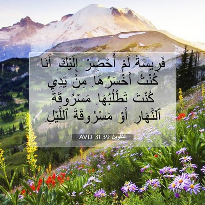 Picture 07 - اَلتَّكْوِينُ 31:39 AVD - فَرِيسَةً لَمْ أُحْضِرْ - Bible Verse Picture
