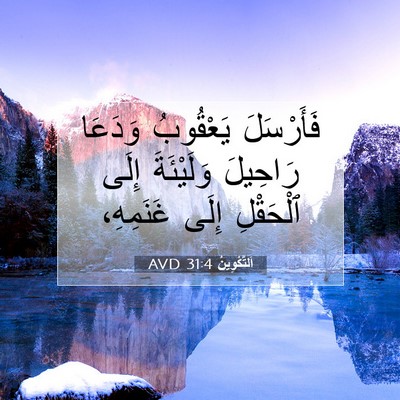 Picture 07 - اَلتَّكْوِينُ 31:4 AVD - فَأَرْسَلَ يَعْقُوبُ - Bible Verse Picture