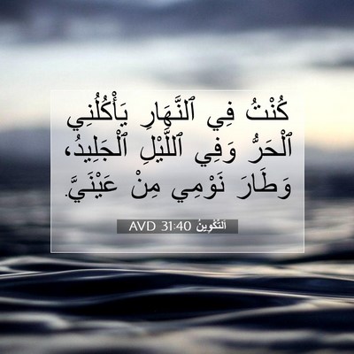 Picture 07 - اَلتَّكْوِينُ 31:40 AVD - كُنْتُ فِي ٱلنَّهَارِ - Bible Verse Picture