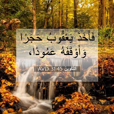 Picture 07 - اَلتَّكْوِينُ 31:45 AVD - فَأَخَذَ يَعْقُوبُ - Bible Verse Picture