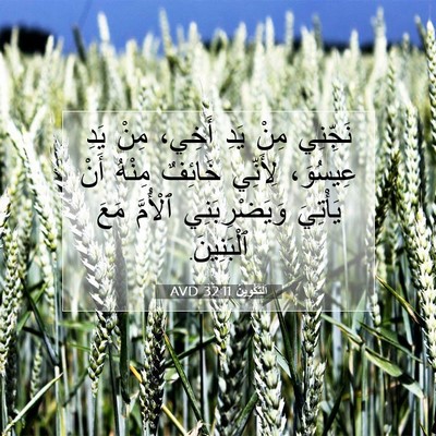 Picture 07 - اَلتَّكْوِينُ 32:11 AVD - نَجِّنِي مِنْ يَدِ أَخِي، - Bible Verse Picture