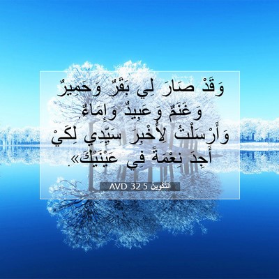 Picture 07 - اَلتَّكْوِينُ 32:5 AVD - وَقَدْ صَارَ لِي بَقَرٌ - Bible Verse Picture