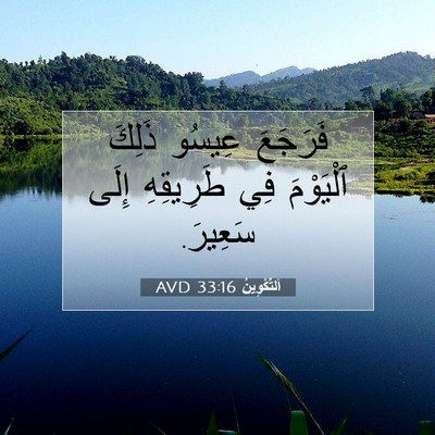 Picture 07 - اَلتَّكْوِينُ 33:16 AVD - فَرَجَعَ عِيسُو ذَلِكَ - Bible Verse Picture