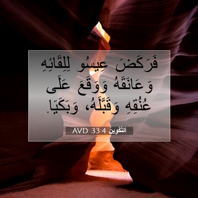 Picture 07 - اَلتَّكْوِينُ 33:4 AVD - فَرَكَضَ عِيسُو - Bible Verse Picture