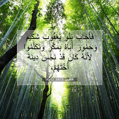 Picture 07 - اَلتَّكْوِينُ 34:13 AVD - فَأَجَابَ بَنُو يَعْقُوبَ - Bible Verse Picture