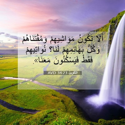 Picture 07 - اَلتَّكْوِينُ 34:23 AVD - أَلَا تَكُونُ - Bible Verse Picture