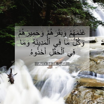 Picture 07 - اَلتَّكْوِينُ 34:28 AVD - غَنَمَهُمْ وَبَقَرَهُمْ - Bible Verse Picture