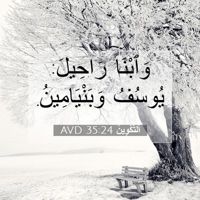 Picture 07 - اَلتَّكْوِينُ 35:24 AVD - وَٱبْنَا رَاحِيلَ: يُوسُفُ - Bible Verse Picture