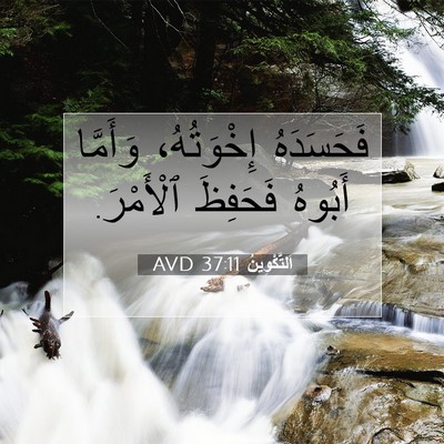 Picture 07 - اَلتَّكْوِينُ 37:11 AVD - فَحَسَدَهُ إِخْوَتُهُ، - Bible Verse Picture