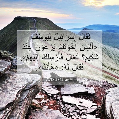 Picture 07 - اَلتَّكْوِينُ 37:13 AVD - فَقَالَ إِسْرَائِيلُ - Bible Verse Picture
