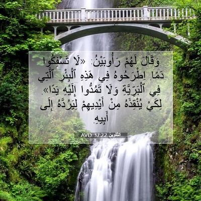 Picture 07 - اَلتَّكْوِينُ 37:22 AVD - وَقَالَ لَهُمْ - Bible Verse Picture