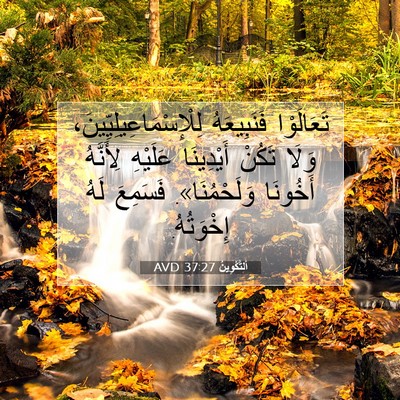 Picture 07 - اَلتَّكْوِينُ 37:27 AVD - تَعَالَوْا فَنَبِيعَهُ - Bible Verse Picture