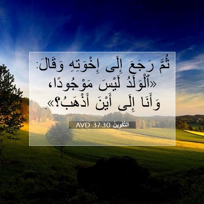 Picture 07 - اَلتَّكْوِينُ 37:30 AVD - ثُمَّ رَجَعَ إِلَى - Bible Verse Picture