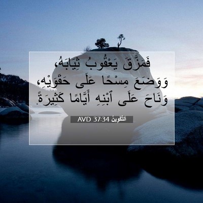 Picture 07 - اَلتَّكْوِينُ 37:34 AVD - فَمَزَّقَ يَعْقُوبُ - Bible Verse Picture