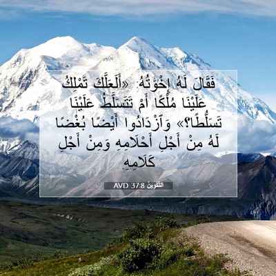 Picture 07 - اَلتَّكْوِينُ 37:8 AVD - فَقَالَ لَهُ إِخْوَتُهُ: - Bible Verse Picture