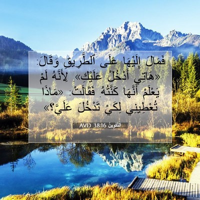 Picture 07 - اَلتَّكْوِينُ 38:16 AVD - فَمَالَ إِلَيْهَا عَلَى - Bible Verse Picture