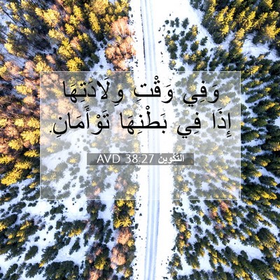 Picture 07 - اَلتَّكْوِينُ 38:27 AVD - وَفِي وَقْتِ وِلَادَتِهَا - Bible Verse Picture