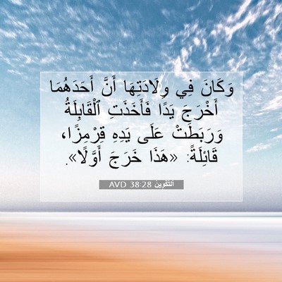 Picture 07 - اَلتَّكْوِينُ 38:28 AVD - وَكَانَ فِي وِلَادَتِهَا - Bible Verse Picture
