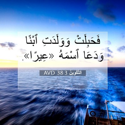 Picture 07 - اَلتَّكْوِينُ 38:3 AVD - فَحَبِلَتْ وَوَلَدَتِ - Bible Verse Picture