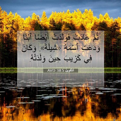 Picture 07 - اَلتَّكْوِينُ 38:5 AVD - ثُمَّ عَادَتْ فَوَلَدَتْ - Bible Verse Picture