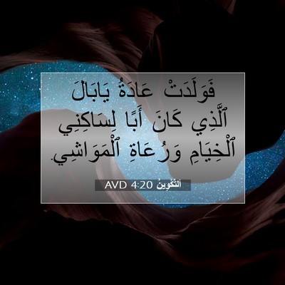 Picture 07 - اَلتَّكْوِينُ 4:20 AVD - فَوَلَدَتْ عَادَةُ - Bible Verse Picture