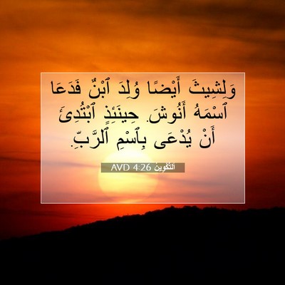 Picture 07 - اَلتَّكْوِينُ 4:26 AVD - وَلِشِيثَ أَيْضًا وُلِدَ - Bible Verse Picture