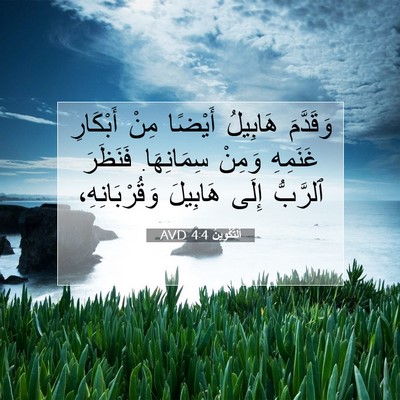 Picture 07 - اَلتَّكْوِينُ 4:4 AVD - وَقَدَّمَ هَابِيلُ - Bible Verse Picture
