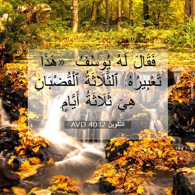 Picture 07 - اَلتَّكْوِينُ 40:12 AVD - فَقَالَ لَهُ يُوسُفُ: - Bible Verse Picture