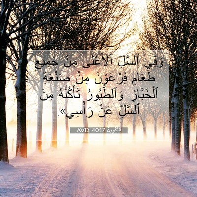 Picture 07 - اَلتَّكْوِينُ 40:17 AVD - وَفِي ٱلسَّلِّ ٱلْأَعْلَى - Bible Verse Picture