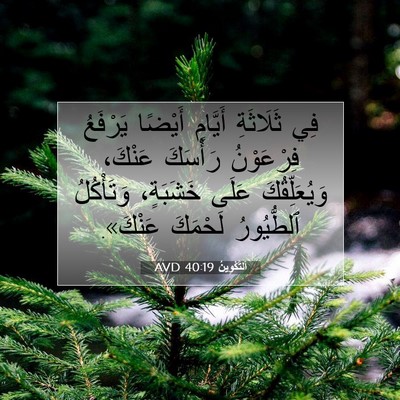 Picture 07 - اَلتَّكْوِينُ 40:19 AVD - فِي ثَلَاثَةِ أَيَّامٍ - Bible Verse Picture