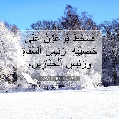 Picture 07 - اَلتَّكْوِينُ 40:2 AVD - فَسَخَطَ فِرْعَوْنُ عَلَى - Bible Verse Picture