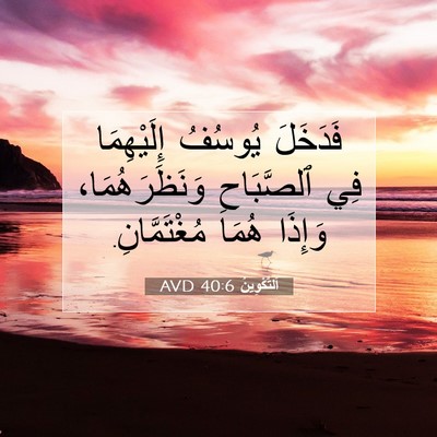 Picture 07 - اَلتَّكْوِينُ 40:6 AVD - فَدَخَلَ يُوسُفُ - Bible Verse Picture