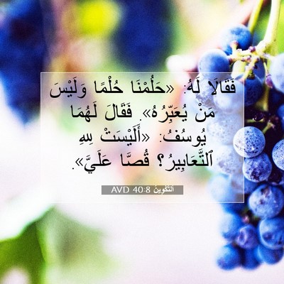 Picture 07 - اَلتَّكْوِينُ 40:8 AVD - فَقَالَا لَهُ: «حَلُمْنَا - Bible Verse Picture