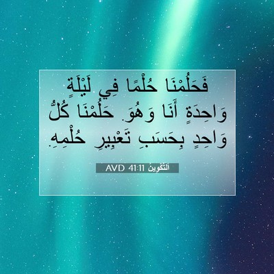 Picture 07 - اَلتَّكْوِينُ 41:11 AVD - فَحَلُمْنَا حُلْمًا فِي - Bible Verse Picture