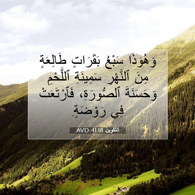 Picture 07 - اَلتَّكْوِينُ 41:18 AVD - وَهُوَذَا سَبْعُ - Bible Verse Picture