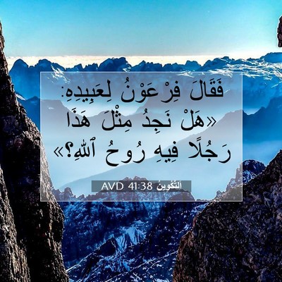 Picture 07 - اَلتَّكْوِينُ 41:38 AVD - فَقَالَ فِرْعَوْنُ - Bible Verse Picture