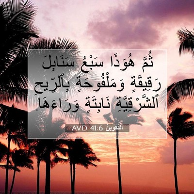 Picture 07 - اَلتَّكْوِينُ 41:6 AVD - ثُمَّ هُوَذَا سَبْعُ - Bible Verse Picture